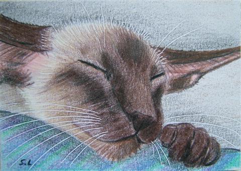 http://www.suzannelegoodcats.com/gallery/Albums/Album5/Large/ACEO_Leo.jpg