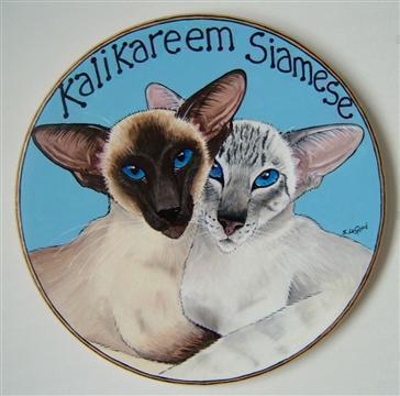 http://www.suzannelegoodcats.com/gallery/Albums/Album5/Large/BOARD_KALIKAREEM.jpg