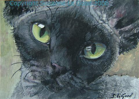 http://www.suzannelegoodcats.com/gallery/Albums/Album6/Large/ACEO_Little_Peach.jpg