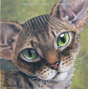http://www.suzannelegoodcats.com/gallery/Albums/Album6/Large/Canvas_Tabby_Devon_Kitten.jpg