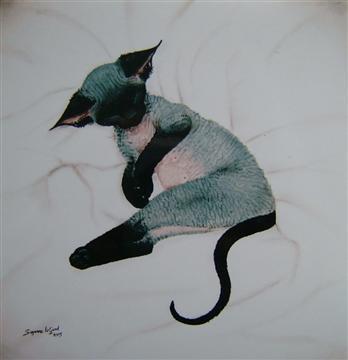 http://www.suzannelegoodcats.com/gallery/Albums/Album6/Large/Devon_Rex_kitten_canvas.jpg