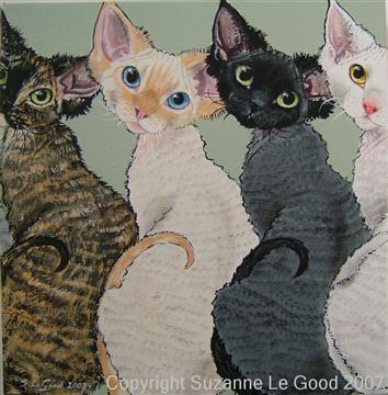 http://www.suzannelegoodcats.com/gallery/Albums/Album6/Large/canvas_6_Devons_1_cpt.jpg