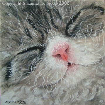 http://www.suzannelegoodcats.com/gallery/Albums/Album6/Large/canvas_Baby_Curls_cpt.jpg