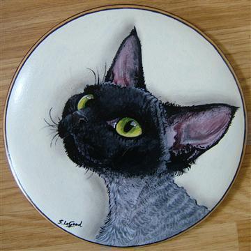 http://www.suzannelegoodcats.com/gallery/Albums/Album6/Large/devon_plaque.jpg