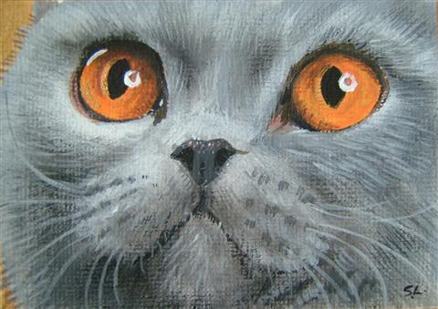 http://www.suzannelegoodcats.com/gallery/Albums/Album7/Large/ACEO_B_Blue.jpg