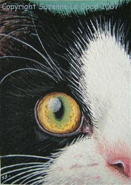 http://www.suzannelegoodcats.com/gallery/Albums/Album7/Large/ACEO_STAR__1.jpg