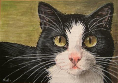 http://www.suzannelegoodcats.com/gallery/Albums/Album7/Large/ACEO_Tuxedo.jpg