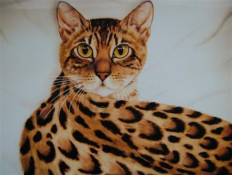 http://www.suzannelegoodcats.com/gallery/Albums/Album7/Large/Bengal_canvas.jpg