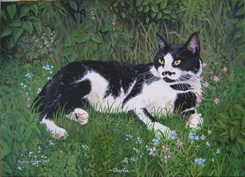 http://www.suzannelegoodcats.com/gallery/Albums/Album7/Large/Canvas_Charlie.jpg