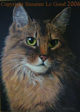 http://www.suzannelegoodcats.com/gallery/Albums/Album7/Large/Canvas_Somali_cpt.jpg