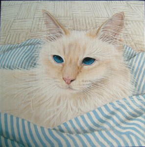 canvas Cream Birman 5